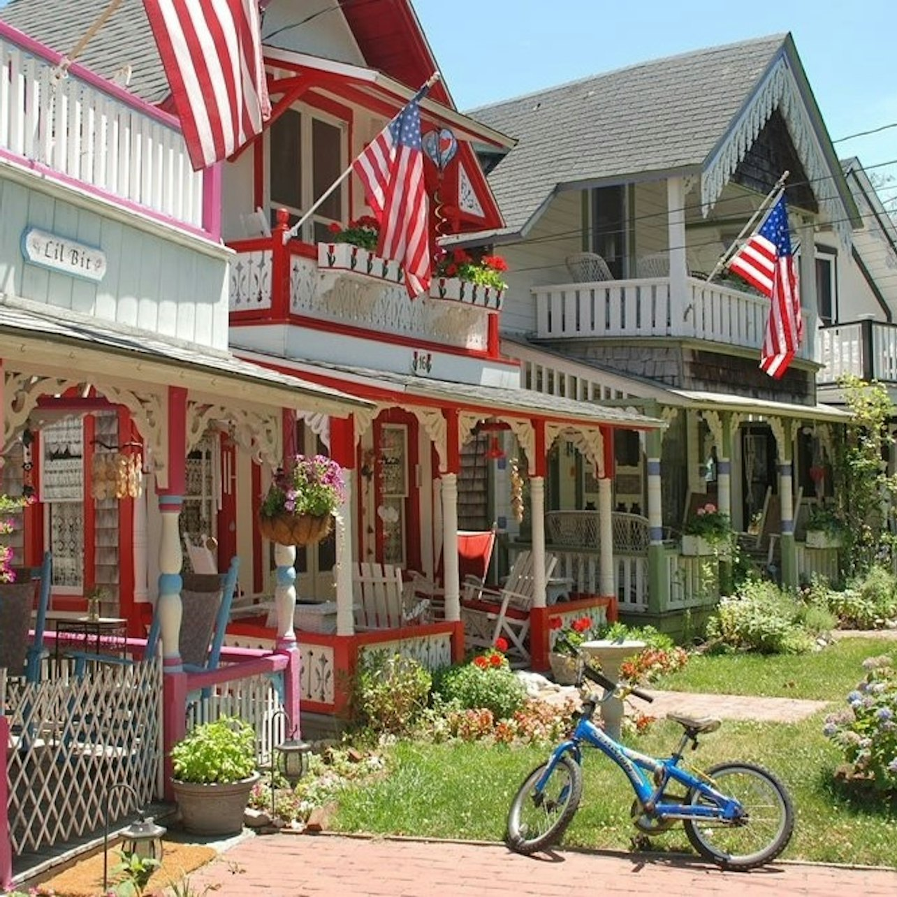 Martha's Vineyard: Day Trip from Boston + Roundtrip Transfer - Photo 1 of 4